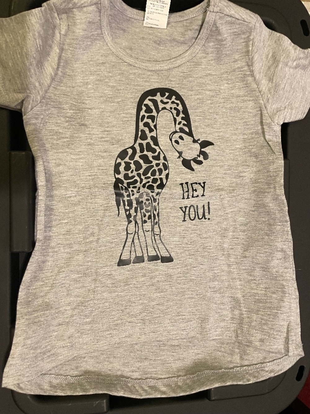 Custom Embroidered Toddler Shirt Lot 3T 4T Dino Roar Giraffe Black Gray 2pc